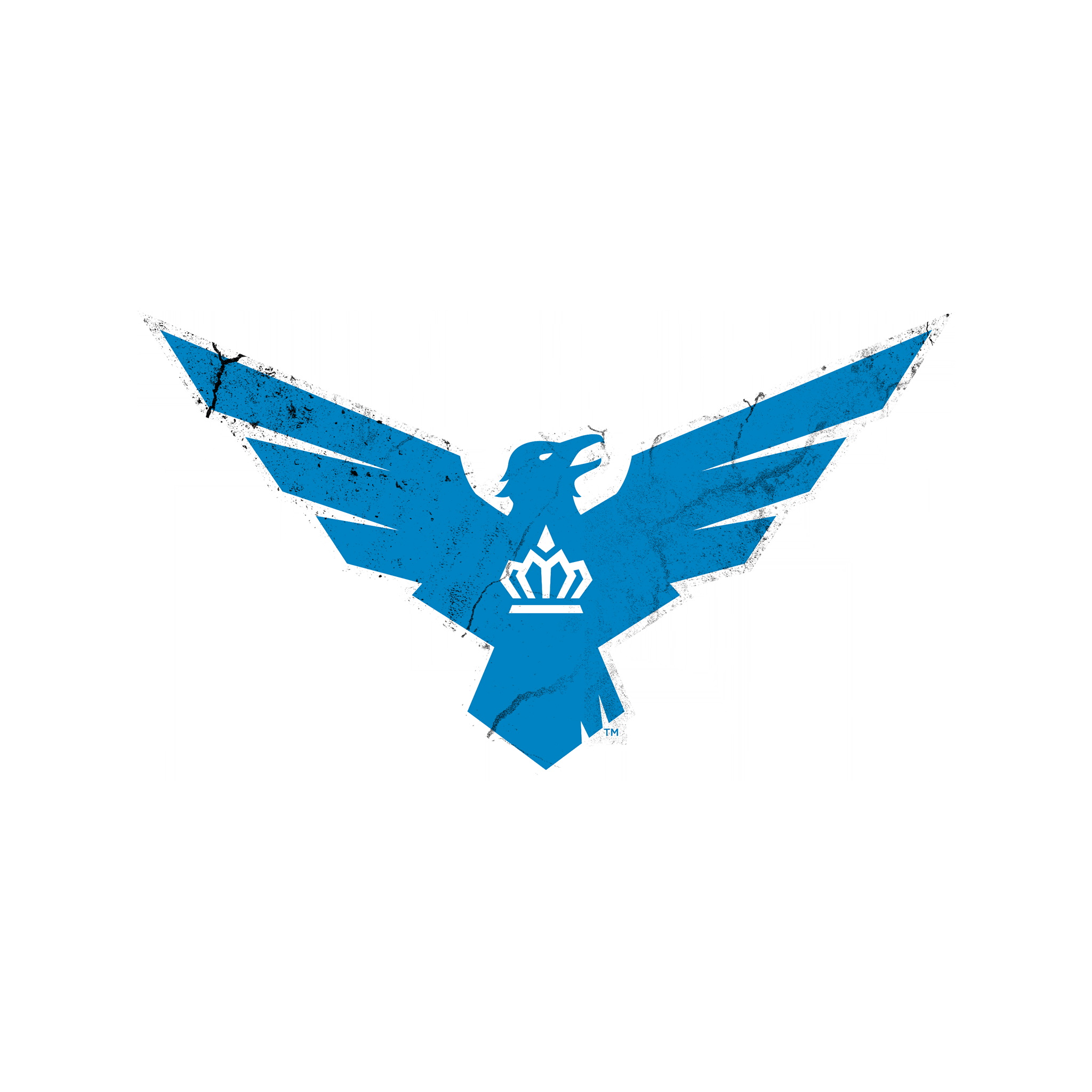 Call of Duty Carolina Royal Ravens 2024 Sticker from Carolina Royal Ravens Team Pack 2024 Modern Warfare 3 Bundle