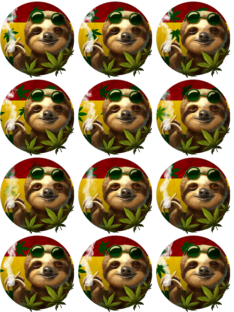 Call of Duty Slow And Unsteady Emblem from Tracer Pack: Stoney Sloth Modern Warfare 3 Bundle