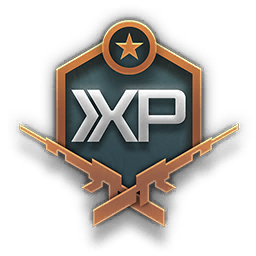 Call of Duty Double Weapon XP Token Consumable from Gassed Up Weapon Vault Modern Warfare 3 Bundle
