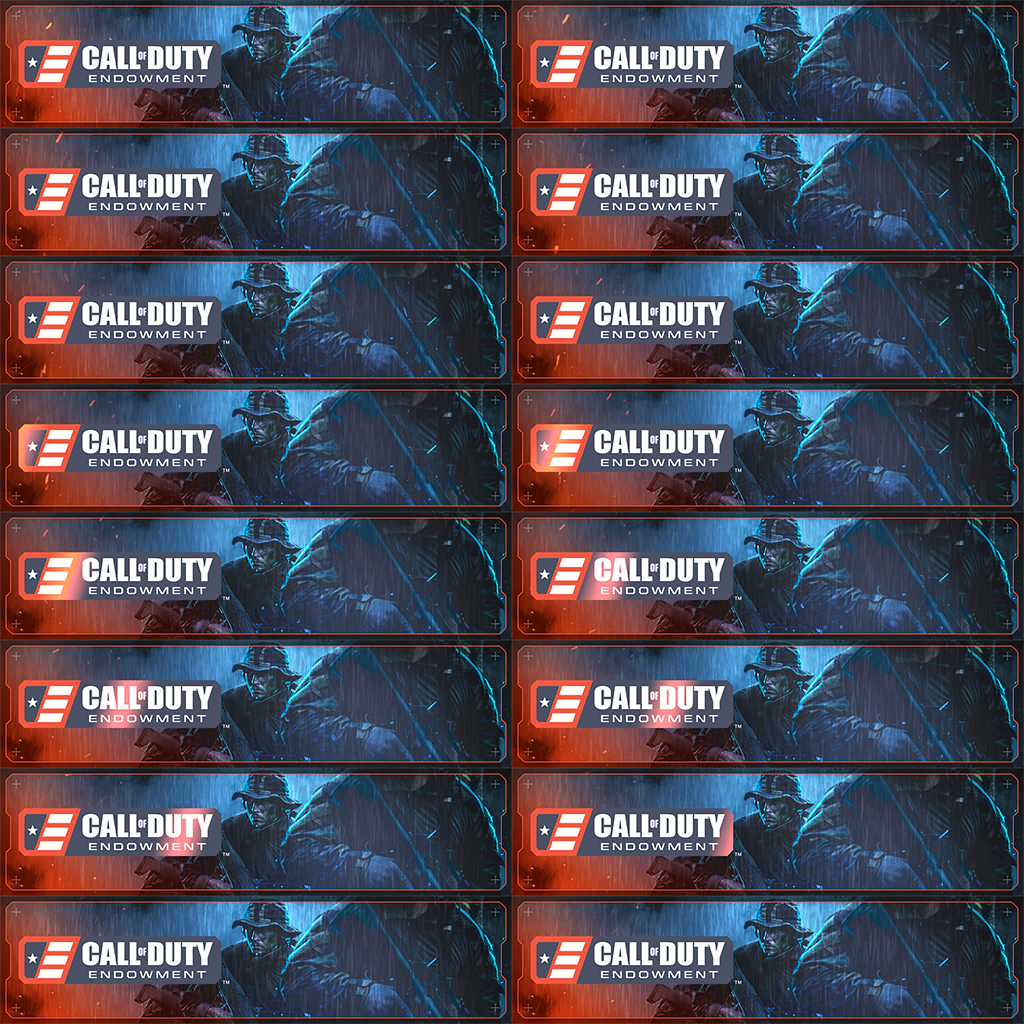 Call of Duty Ready for Anything Playercard from Call of Duty® Endowment (C.O.D.E.) Protector Pack Modern Warfare 2 Bundle