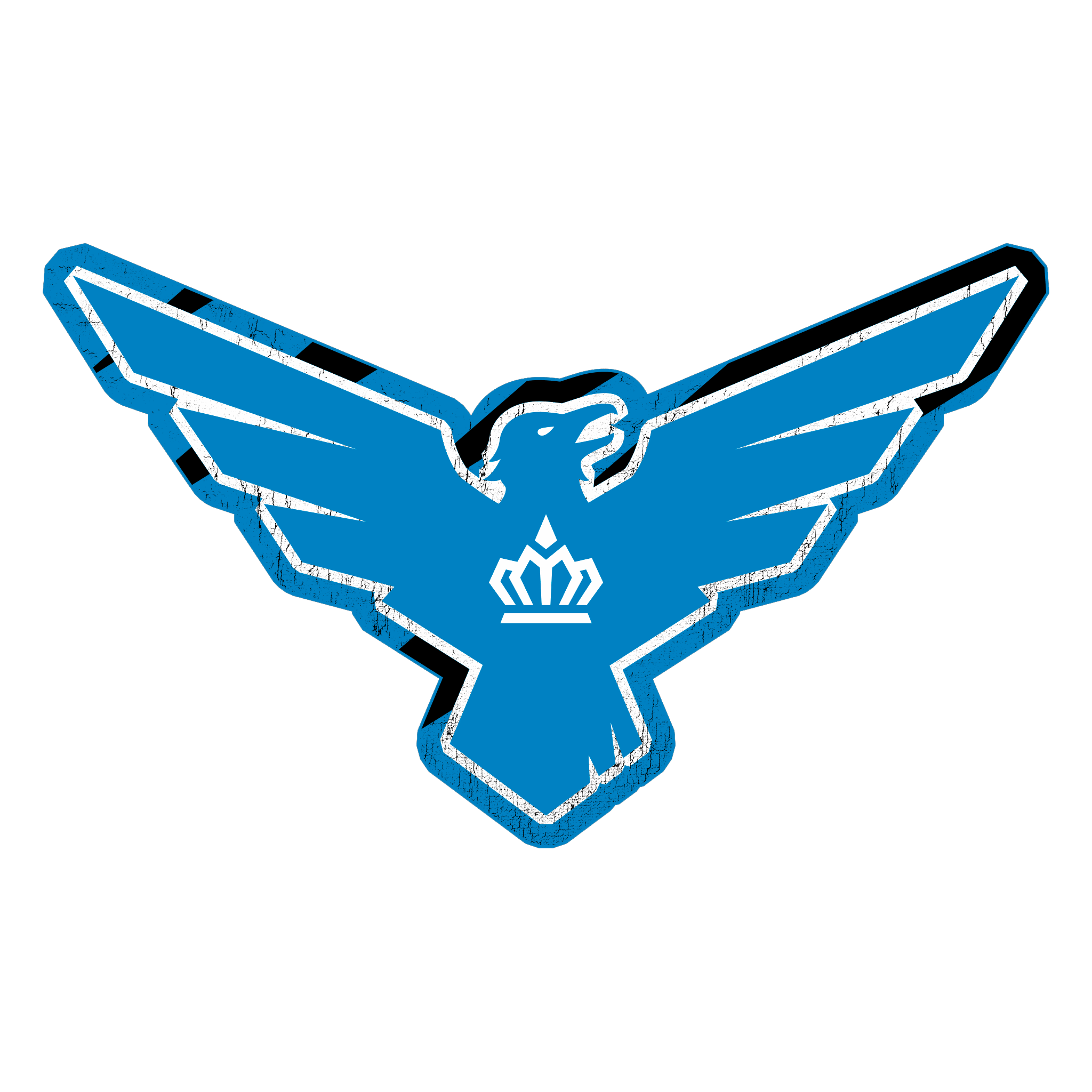 Call of Duty Carolina Royal Ravens Emblem from Carolina Royal Ravens Team Pack 2025 Black Ops 6 Bundle