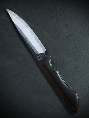 Call of Duty Negotiation Blueprint from Nikto Operator Bundle Modern Warfare (2019) Bundle