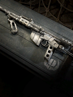 Call of Duty Frozen Ghost Blueprint from Bone Chiller Vanguard Bundle