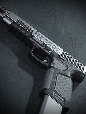 Call of Duty Silver Plume Blueprint from Roze Operator Bundle Modern Warfare (2019) Bundle