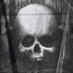 Call of Duty Entomb Vehicle Skin from Nikto: Take No Prisoners Modern Warfare (2019) Bundle